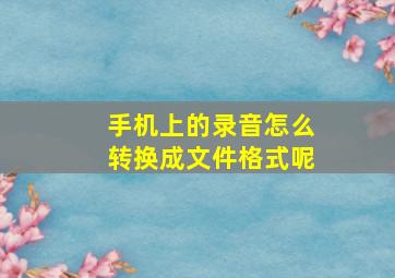 手机上的录音怎么转换成文件格式呢