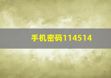 手机密码114514