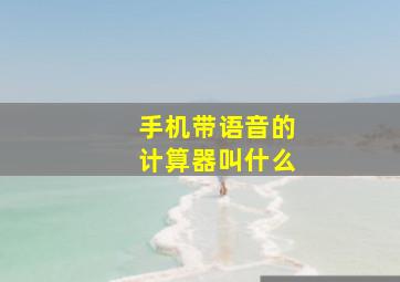 手机带语音的计算器叫什么