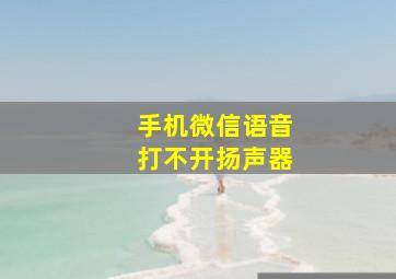 手机微信语音打不开扬声器