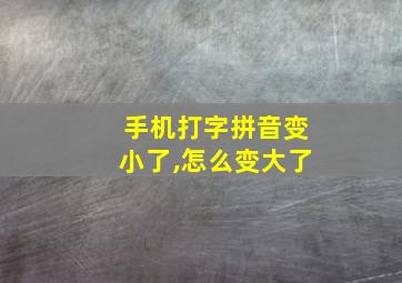 手机打字拼音变小了,怎么变大了