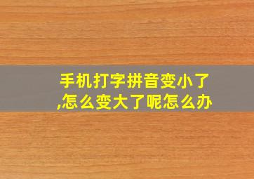 手机打字拼音变小了,怎么变大了呢怎么办