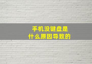 手机没键盘是什么原因导致的