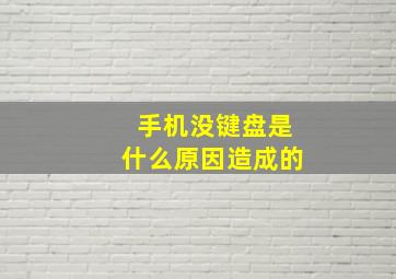 手机没键盘是什么原因造成的