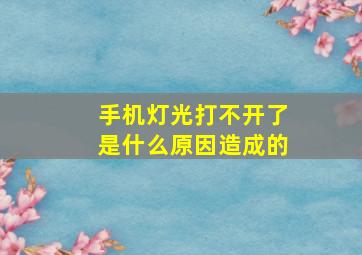 手机灯光打不开了是什么原因造成的