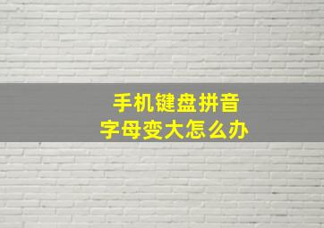 手机键盘拼音字母变大怎么办