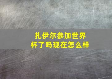 扎伊尔参加世界杯了吗现在怎么样