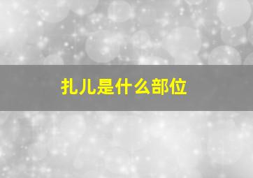 扎儿是什么部位