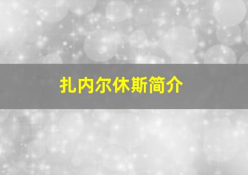 扎内尔休斯简介