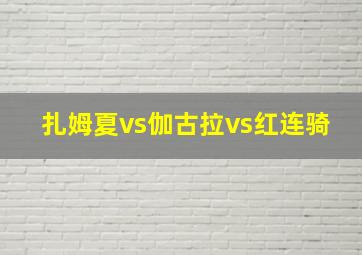 扎姆夏vs伽古拉vs红连骑