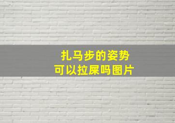 扎马步的姿势可以拉屎吗图片