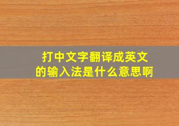 打中文字翻译成英文的输入法是什么意思啊