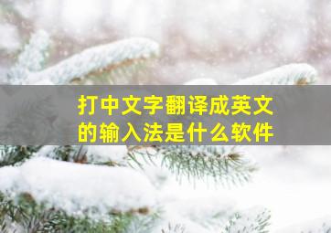 打中文字翻译成英文的输入法是什么软件