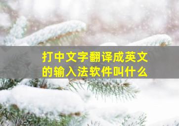 打中文字翻译成英文的输入法软件叫什么