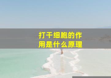 打干细胞的作用是什么原理