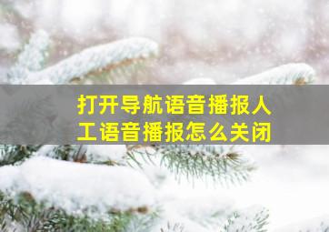 打开导航语音播报人工语音播报怎么关闭