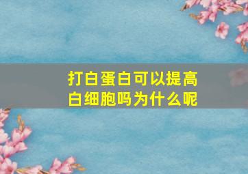 打白蛋白可以提高白细胞吗为什么呢