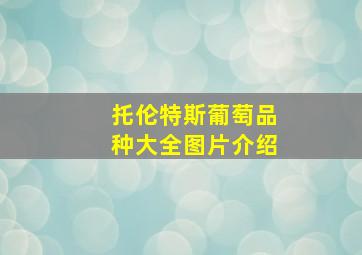 托伦特斯葡萄品种大全图片介绍