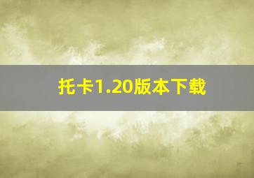 托卡1.20版本下载