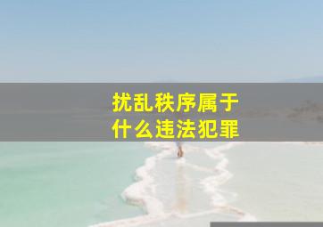 扰乱秩序属于什么违法犯罪