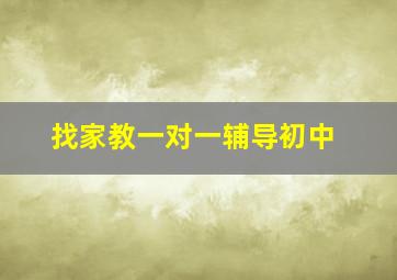 找家教一对一辅导初中