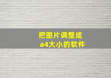 把图片调整成a4大小的软件