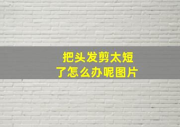 把头发剪太短了怎么办呢图片