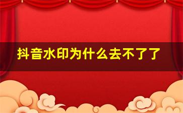 抖音水印为什么去不了了