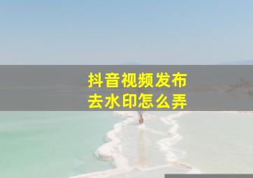 抖音视频发布去水印怎么弄