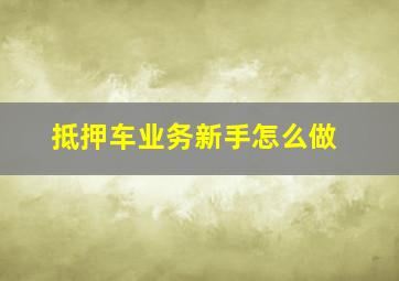 抵押车业务新手怎么做