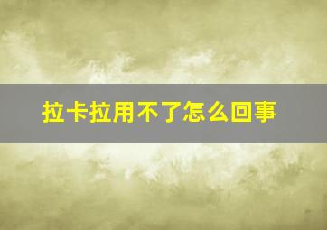 拉卡拉用不了怎么回事