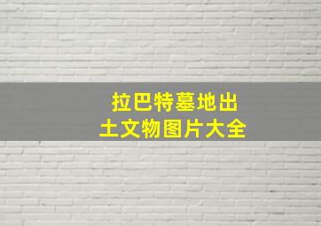 拉巴特墓地出土文物图片大全