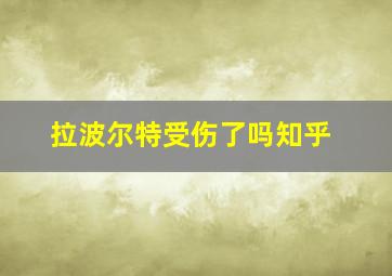 拉波尔特受伤了吗知乎