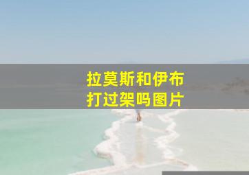 拉莫斯和伊布打过架吗图片