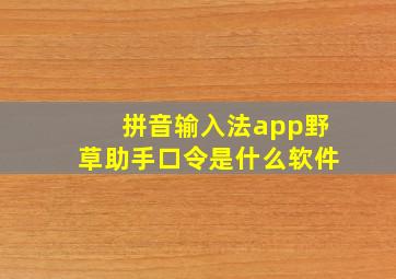 拼音输入法app野草助手口令是什么软件