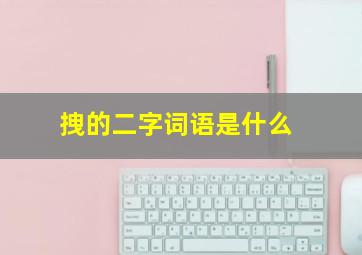 拽的二字词语是什么