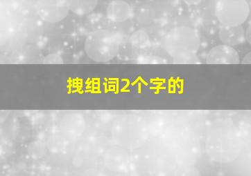 拽组词2个字的