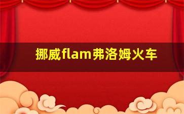 挪威flam弗洛姆火车