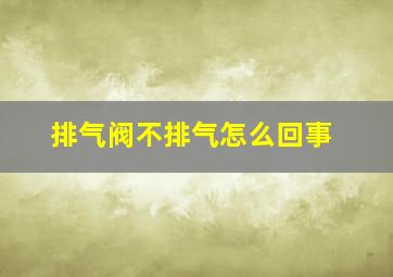 排气阀不排气怎么回事