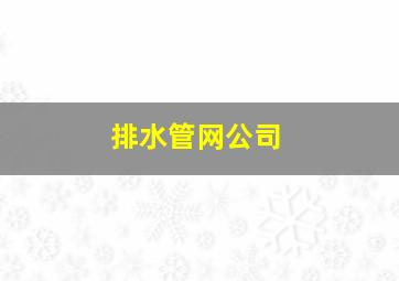 排水管网公司