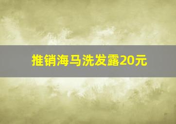 推销海马洗发露20元