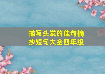 描写头发的佳句摘抄短句大全四年级