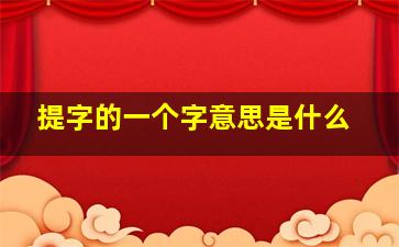 提字的一个字意思是什么