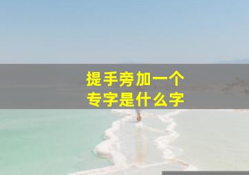 提手旁加一个专字是什么字