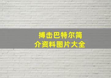 搏击巴特尔简介资料图片大全