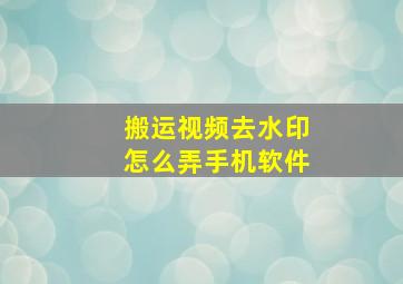 搬运视频去水印怎么弄手机软件