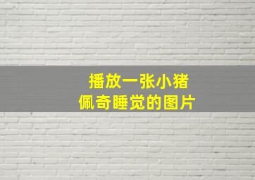 播放一张小猪佩奇睡觉的图片