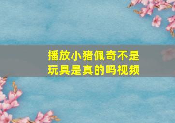 播放小猪佩奇不是玩具是真的吗视频