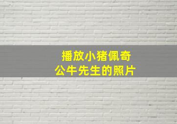 播放小猪佩奇公牛先生的照片