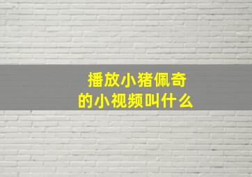 播放小猪佩奇的小视频叫什么